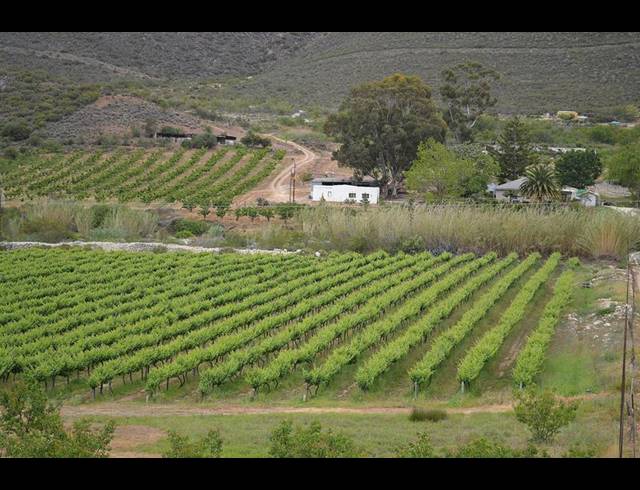 FARM FOR SALE IN LADISMITH